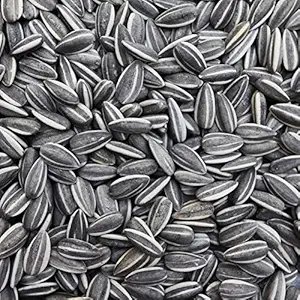 pure sunflower seeds